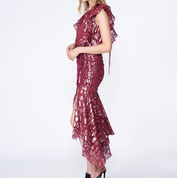 NWT veronica Beard Leighton Dress Size 4